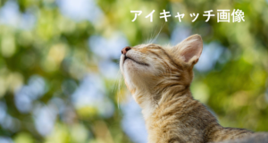アイキャッチ画像